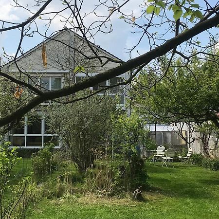 Rebenlaub Heringen (Hersfeld-Rotenburg) Exterior foto