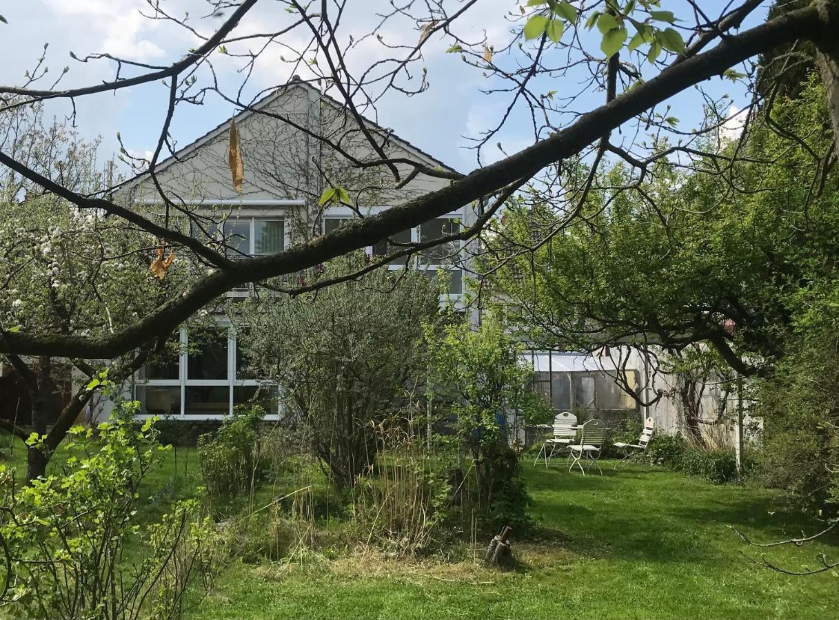 Rebenlaub Heringen (Hersfeld-Rotenburg) Exterior foto
